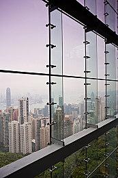 操作小虫在澳大利亚丛林冒险的游戏上架Steam